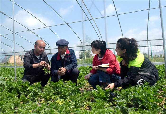 5月19日，甘肃省兰州市纪委监委派驻市农业农村纪检监察组干部，在位于榆中县城关镇三角城村的甘肃康源现代农业有限公司一座日光温室，向公司负责人（左1）了解产业发展、带动农户增收情况。.jpg